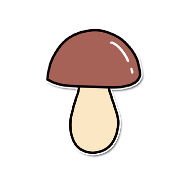 Obrázek 4